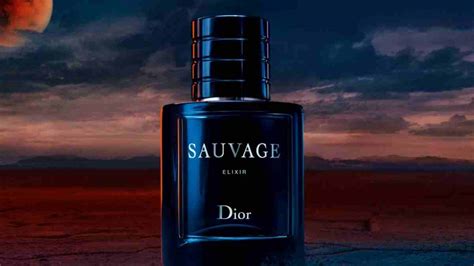 sauvage dior bargello kodu|dior cologne perfume.